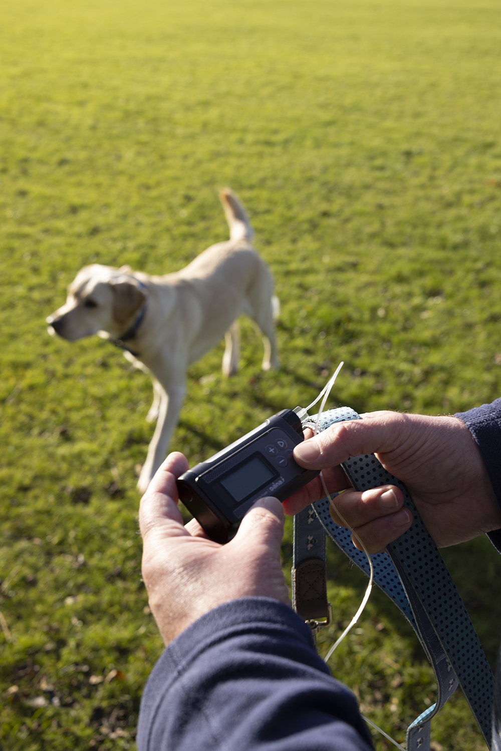 Living with an insulin pump